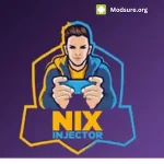 Nix injector 2024